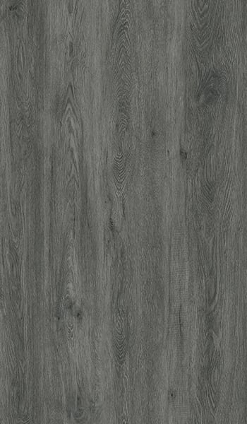 CD13031-50-Full-Layout-1