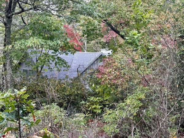 Cashiers, NC MHBA Winner18